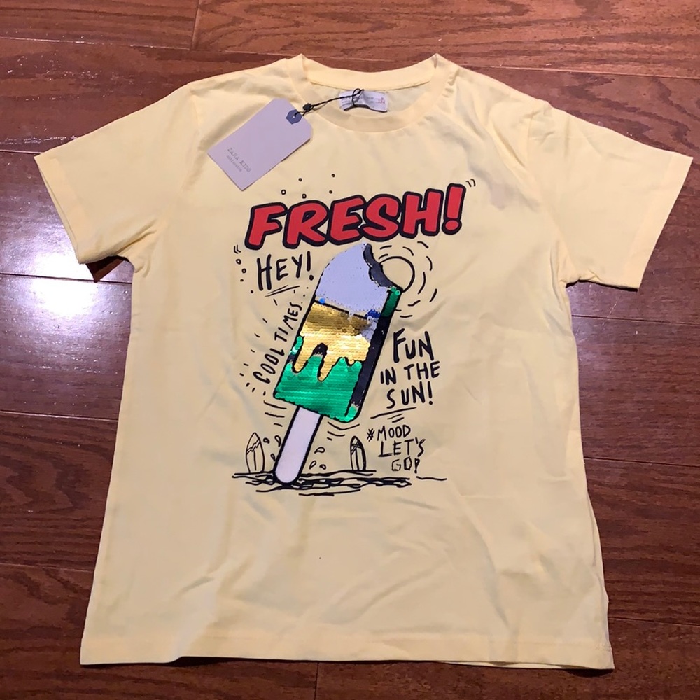 New Zara Flippy T shirt